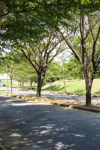 Gündüzleri temiz yollar ve manzaralar