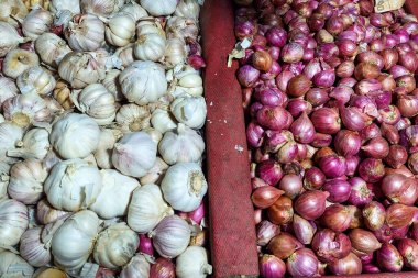 Shallot ve Sarımsak Yığını Satılık