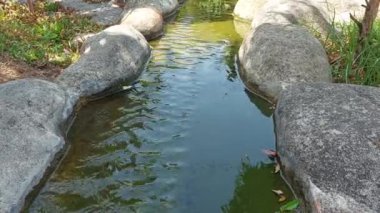 Küçük Nehir Parktaki Çeşme Havuzuna Gidiyor