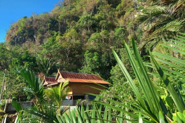 Bir dağ yamacında bir ev asfalt bir yolun yanındadır.