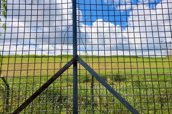 Gün boyunca çayırlık bir arkaplanda tel örgüler