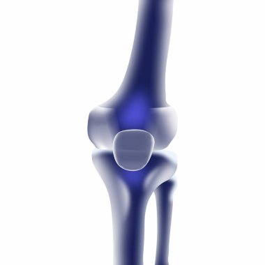 3 boyutlu illüstrasyon - insan bacağı - izole