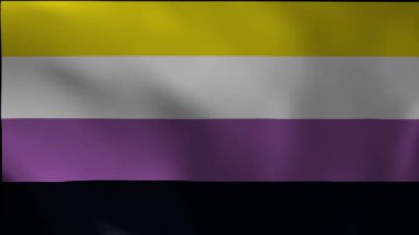 Gururun Parıltısız Bayrağı