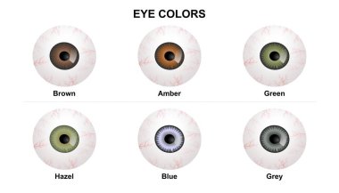 İnsan göz rengi ve tipleri