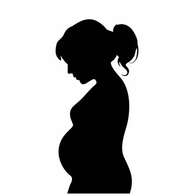 Hamilelik tüp bebek (Vitro döllenmesinde) doğurganlık silueti çizimi