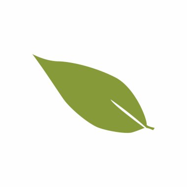 Yaprak siluetleri düz yaprak çizimi