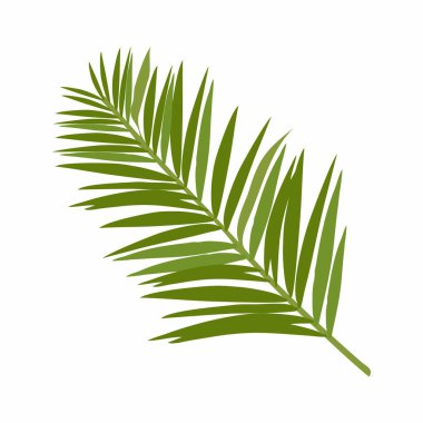 Yaprak siluetleri düz yaprak çizimi