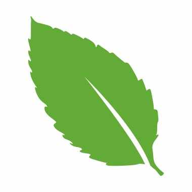 Yaprak siluetleri düz yaprak çizimi