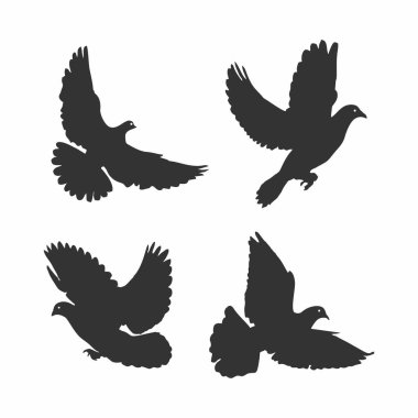 Uçan kuş silueti vektör çizimi güvercin, güvercin kuşu