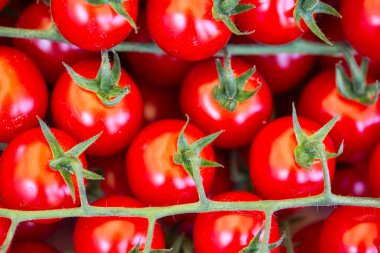 Pazar yerinde olgun kırmızı kiraz domatesleri: makro.