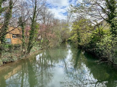 Nehir, ağaçlar ve yansımalar: kasabada kırsal manzara