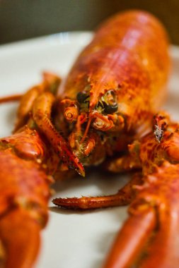 Pişmiş bir Avrupa ıstakozunun ayrıntıları bir tepside sunuluyor: kafaya yakın çekim