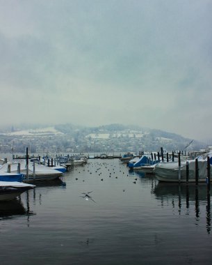 İsviçre 'de kış manzarası, Luzern Gölü civarında.