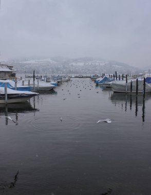 Buzlu su, soğuk hava ve tekneler: Luzern 'de kış manzarası