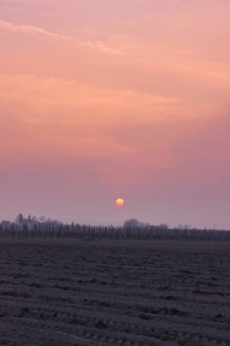 Ravenna (İtalya) yakınlarındaki kırsalda pembe ve turuncu gün batımı)
