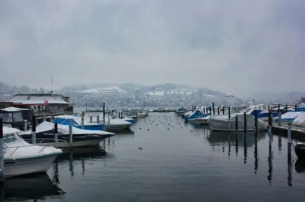 Paesaggio Invernale Del Lago Lucerna Con Barche Neve Immagini Stock Royalty Free