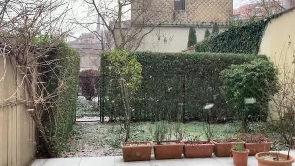 Χειμερινή Άποψη Ενός Κήπου Στις Βρυξέλλες Κάτω Από Τις Νιφάδες — Αρχείο Βίντεο