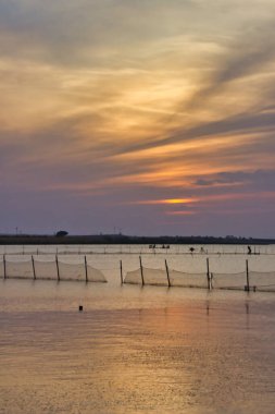 Doğanın arka planında, denizin üzerinde güzel bir gün batımı