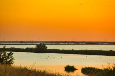 Kuşların yüzdüğü ve uçtuğu gölün üzerinde turuncu günbatımı. Sihirli bir manzara.