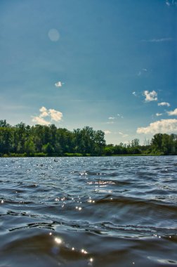 Beautiful view of wavy water in a pond with a forest on the background: Bokrijk (Belgium)