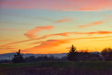 Pastel color sunset in the fields with trees and colorful clouds in the windy sky