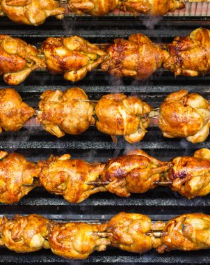 Bir sürü tavuk eğri büğrü yemek yapıyor.