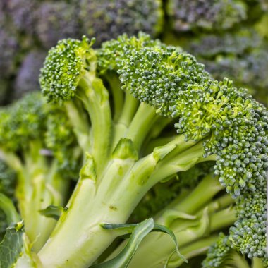 Yeşil yapraklı brokoli.