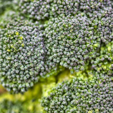 Yeşil brokoliyi kapat..