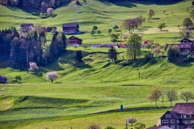 Beautiful green hills in switzerland in spring