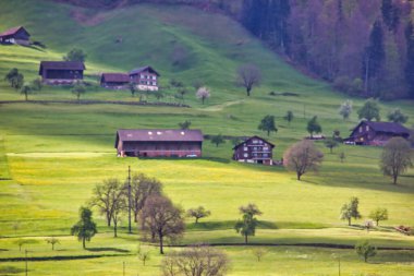 Ormanın ortasında çayırı olan küçük bir evin güzel manzarası.