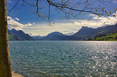 Wonderful nature in Lucerne: view of the lake with mountains in the background
