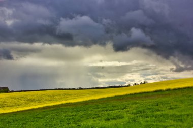 Kolza tohumu tarlaları üzerinde fırtına bulutları: sarı, yeşil ve mavi panorama.