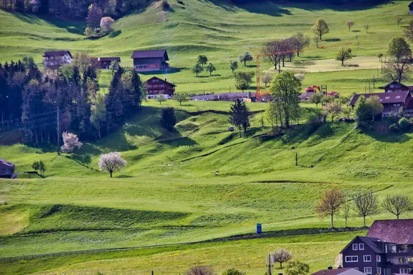 Beautiful green hills in switzerland in spring