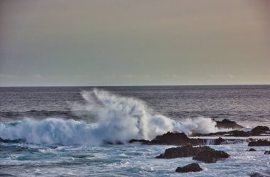 Büyük dalgaları olan güzel deniz kıyıları