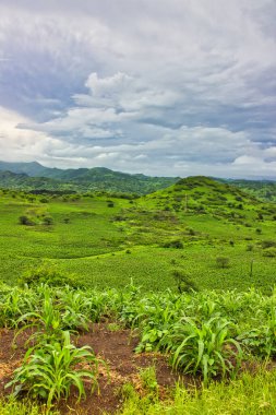 Vadideki geniş yeşil alan, bulutlu gökyüzünün altında.