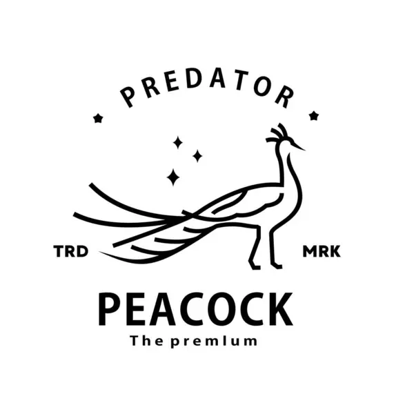 stock vector vintage retro hipster peacock logo vector outline monoline art icon