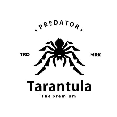 Klasik retro hipster tarantula logo vektör anahat siluet sanat simgesi