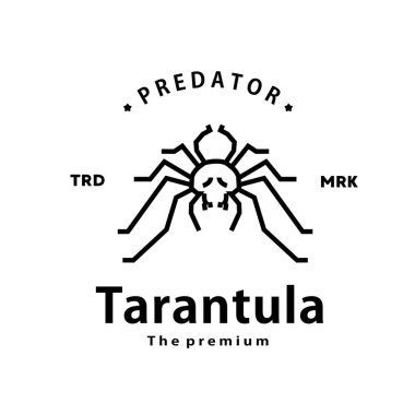 Klasik retro hipster tarantula logo vektör anahatları monoline sanat simgesi