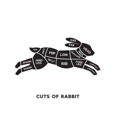 Vektör illüstrasyon rehberi Et kesim seti. Tavşan Kasabı Poster şemaları ve şemaları.