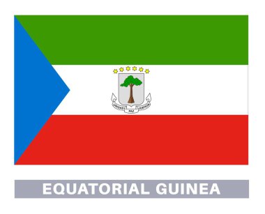 Ekvator bayrağı. Bayrak simgesi. Standart renkler. Standart boy. Dikdörtgen bayrak.