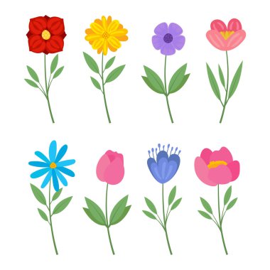 Farklı yabani çiçek vektör illüstrasyonları çayır ya da tarla çiçeği koleksiyonu oluşturur. Vektör illüstrasyonu