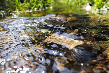 Taşlarla temiz akarsu