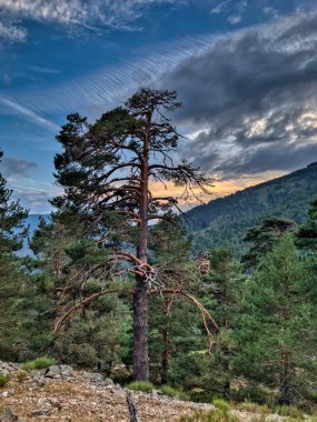 Dağda gün batımı, Sierra de Madrid, İspanya