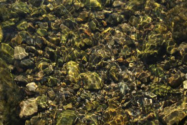 Altında kayalar olan dağ nehri