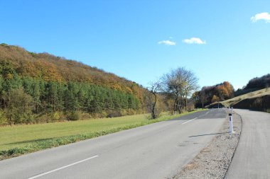 Banliyöde boş bir yol, yanında yeşil bir orman var.