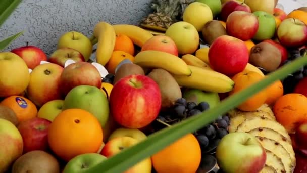 Vegyes Zöldség Háttér Egészséges Evés Összetevők Egy Szelet Zöldség Paradicsom — Stock videók