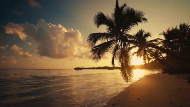 Ocean Sunrise Coucher Soleil Island Beach Vidéo — Video