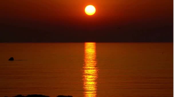 Ocean Sunrise Solnedgång Och Island Beach Bilder Video — Stockvideo