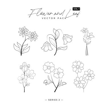 Silüet tarzında en az kadınsı botanik çiçek dalı - elle çizilmiş düğün otu- düğün davetiyesi blogları için mükemmel