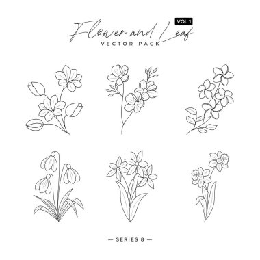 Orman eğreltiotu merdiveni okaliptüs sanat yaprakları doğal bitkiler çizgi biçiminde - Modern soyut elementler minimum tasarım vektör ilüstrasyonunu ayarlar